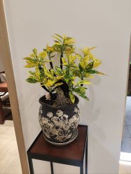 -今日陶艺(富力广场店)