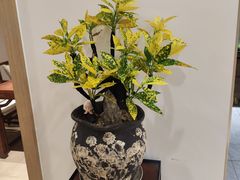 -今日陶艺(富力广场店)
