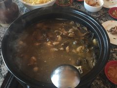 -蘑统田下·野生菌火锅