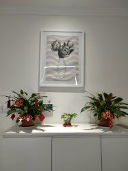 点击看大图 -SILKTONE诗丽堂美容