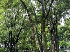 -重庆市江北嘴中央商务区中央公园