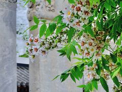 -北京石刻艺术博物馆(五塔寺)