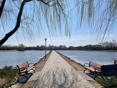 -大兴滨河森林公园