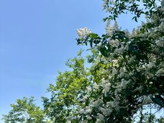 -敬亭山风景名胜区