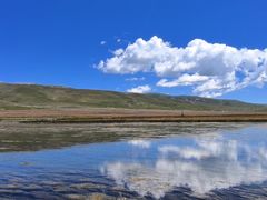 -郭莽湿地