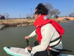 -荷兰花海