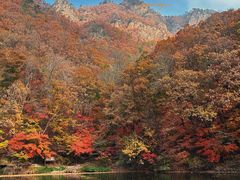 -关门山森林公园