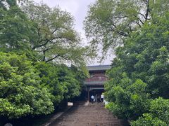 -灵谷景区