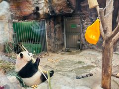 -泉城欧乐堡梦幻世界