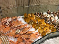 -瑞德姆美人鱼海底演艺主题餐厅(亚龙湾店)