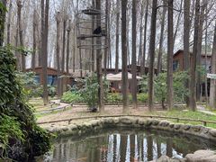 -林间山庄