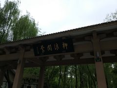 -柳浪闻莺公园