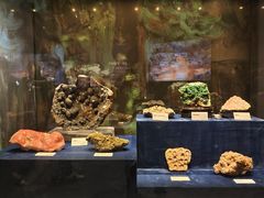 -国家自然博物馆