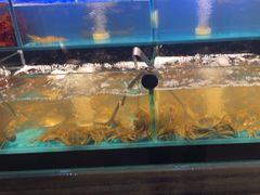 -苏格里岛自助烤肉海鲜火锅(成都金牛万达店)