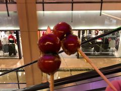 蒲公英糖葫芦-小大董·烤鸭(凤凰汇店)