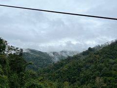 -野象谷景区