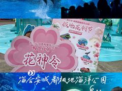 -海合安成都极地海洋公园