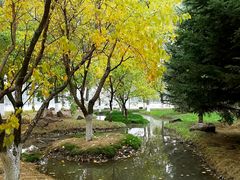 -长春世界雕塑园冰雪艺术天地