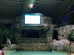 -杭州开元森泊度假乐园