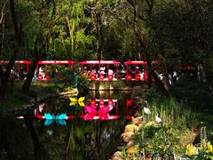 -上海共青森林公园