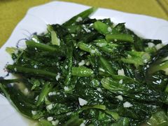 -煲来饱去冷水鱼