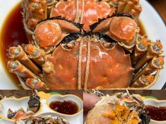 -黄记大闸蟹专卖店·活蟹·醉蟹