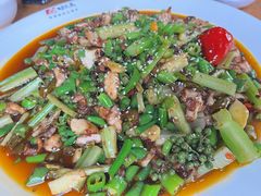 -功夫兔