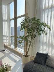 点击看大图 -JNK皮肤管理中心