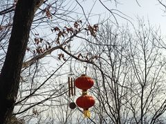 -红螺寺