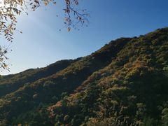 -香山公园