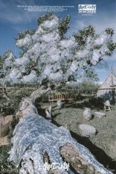 点击看大图 -米迪婚礼