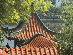 -深圳龙潭公园