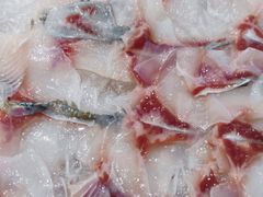 -港升鱼师傅·中山脆肉鲩