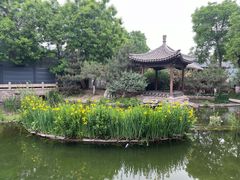 -三里河公园