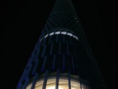 -紫峰大厦