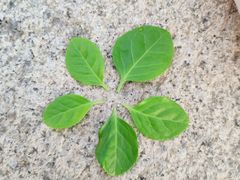 -唐山抗震纪念碑广场