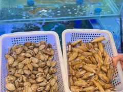 -粤香楼(新光里店)