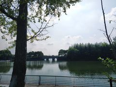 -申隆生态园-上海东方金融小镇