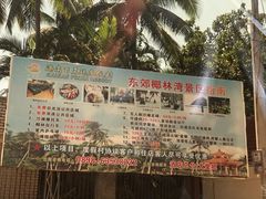 -东郊椰林