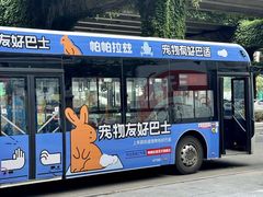 -帕帕拉兹宠物(亚洲旗舰店)