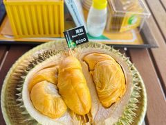 -榴莲BB 四季果园