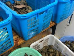 -金太粽(上海弄堂第一粽店)