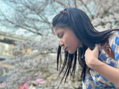 -上海南浦大桥长途旅游客运站