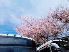 -上海南浦大桥长途旅游客运站