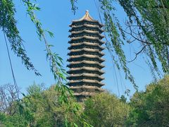 -北大学一食堂