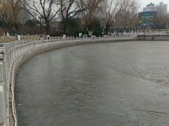-莲花池公园