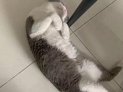 -客栈猫舍(中央北路店)