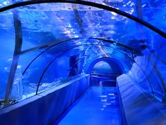 -太平洋海底世界