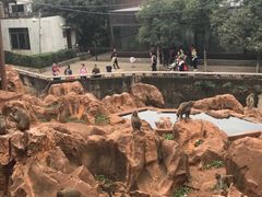 -昆明动物园