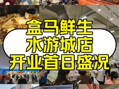 -鹏欣水游城